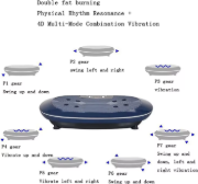 Picture of 250W Professional Whole Body Vibration Plate Machine with 150KG Capacity and Electromagnetic Muscle Stimulation